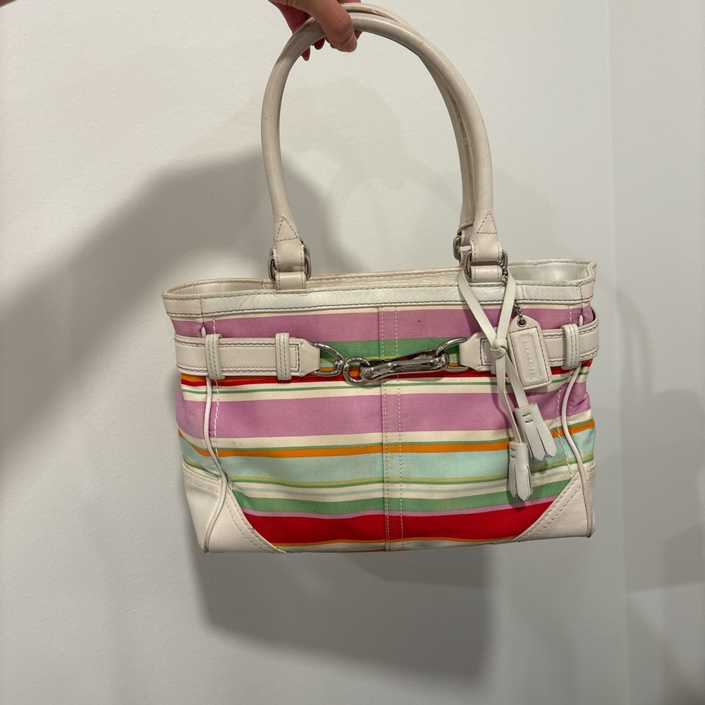 Striped Multicolor Tote Bag